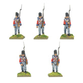 Napoleonic British Line Infantry (Waterloo campaign)